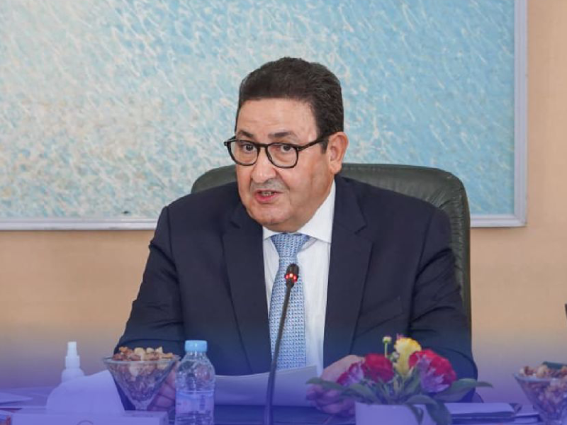 وزير النقل واللوجيستيك، عبد الصمد قيوح